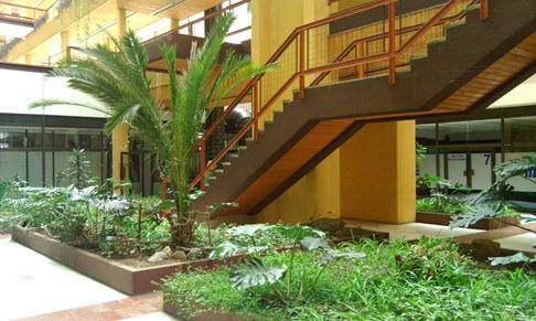 HTC HD2 Camera Sample (Indoors)