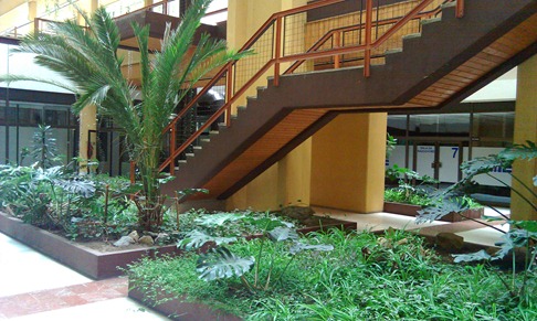 HTC HD2 Camera Sample (Indoors)